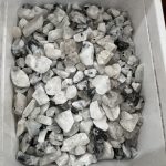 Moonstone Chips