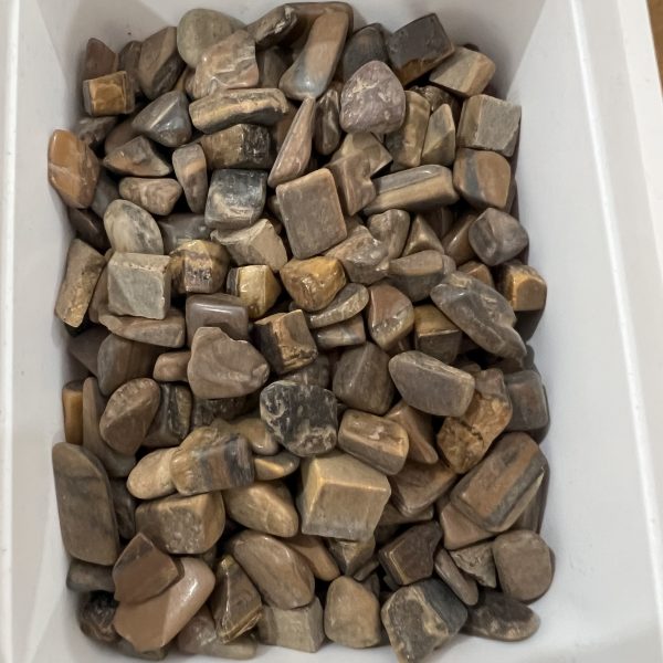 Tiger Eye Chips
