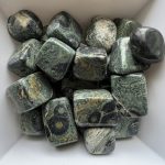 Kambaba Jasper Tumbles