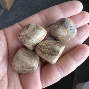 Picture Jasper Tumbles