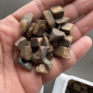 Tiger Eye Chips