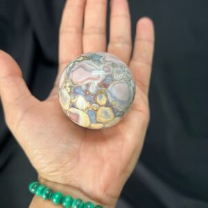 King Cobra Jasper