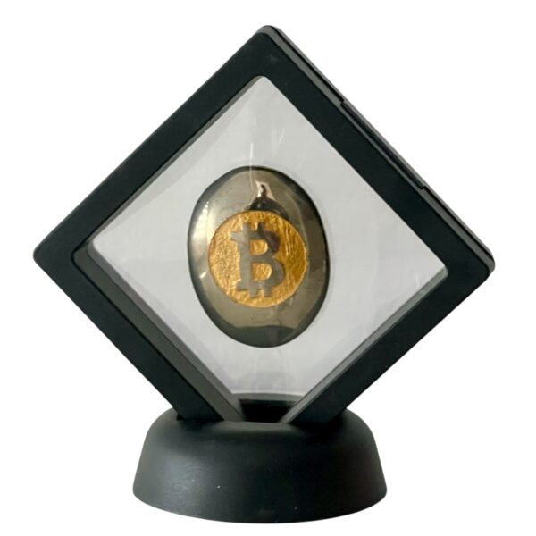 Pyrite Bit Coin with display case
